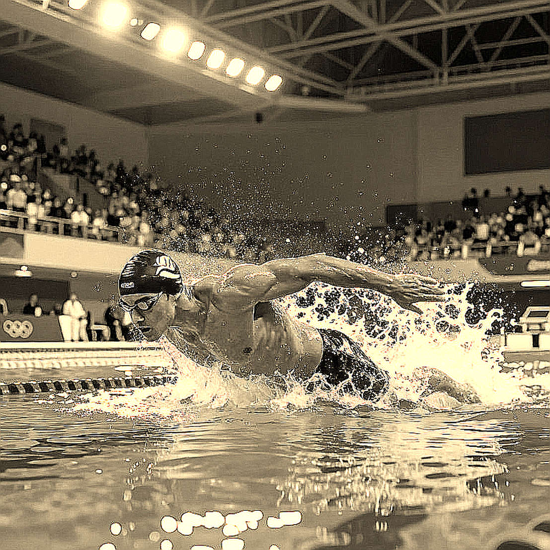 Kết quả bơi lội bể ngắn Jose Finkel Trophy: Gui Caribe bơi 50m tự do 20.54 giây, Leonardo Alcântara phá kỷ lục Nam Mỹ 800m