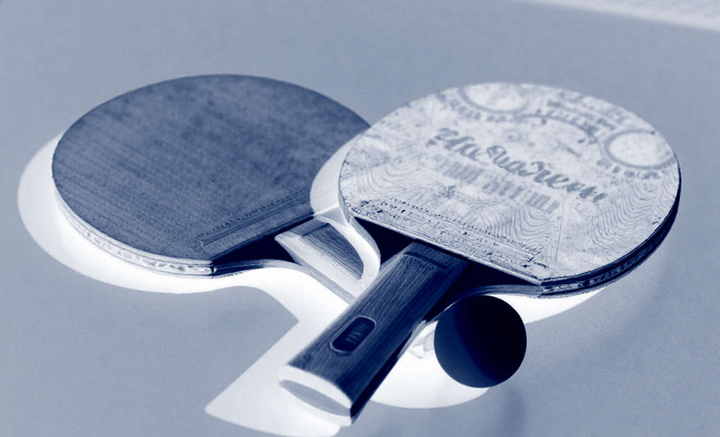 Rankings, Points Defense and the Overlooked Signals in World Table Tennis Rankings, Points Defense and the Overlooked Signals in World Table Tennis