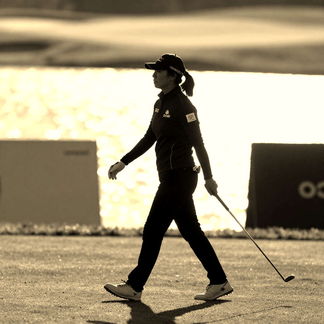 Găng tay golf Asher: Da Cabretta cao cấp với grip hoàn hảo nhưng cần kiểm chứng dữ liệu độc lập Găng tay golf Asher: Da Cabretta cao cấp với grip hoàn hảo nhưng cần kiểm chứng dữ liệu độc lập