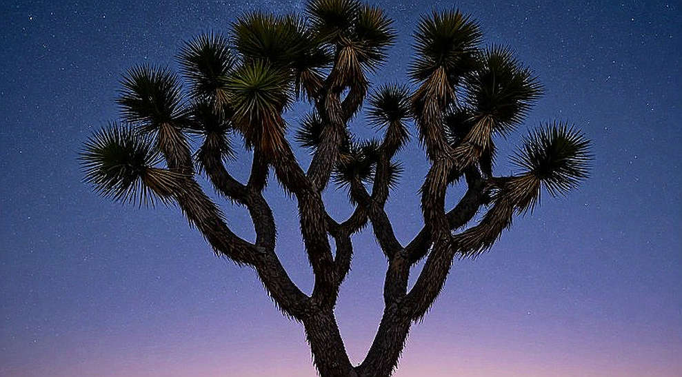 Vietnamese Football in a Changing World: When the Rhythm No Longer Follows the Old Script Vietnamese Football in a Changing World: When the Rhythm No Longer Follows the Old Script
